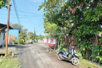 Sale Tanah: Di jual tanah