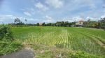 thumbnail-brand-new-villa-ricefield-view-for-leasehold-1
