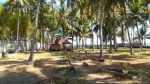 thumbnail-lahan-bonus-villa-di-tanjung-lombok-utara-shm-5600-m2-0