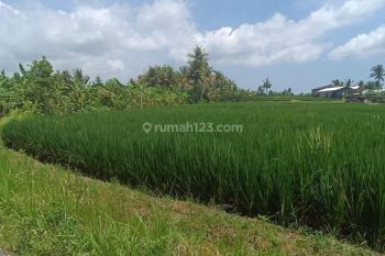 TANAH ZONA KUNING DENGAN VIEW SAWAH ABADI SUPER KEREN