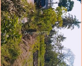 Dijual Tanah Jogja Dekat Pasar Jangkang SHM Pekarangan Aman