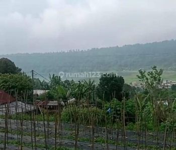 Sale Tanah: BEAUTIFUL LAND