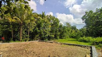 Tanah Siap Transaksi Di Giripeni Kulon Progo, Timur Yia Jogja