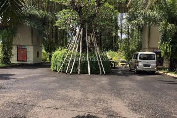 tanah di desa dauhwaru negara kabupaten jembrana bali