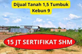 Sale Tanah: Jual Tanah Kebun 9