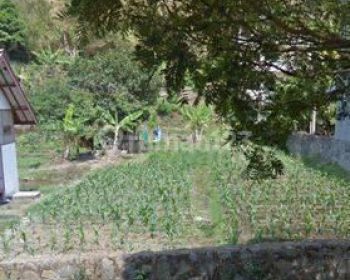 Langka Murah Tanah Kavling Lokasi Bandung Utara Dago