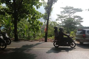 Tanah Strategis Pinggir Jalan Raya Sekaran UNNES