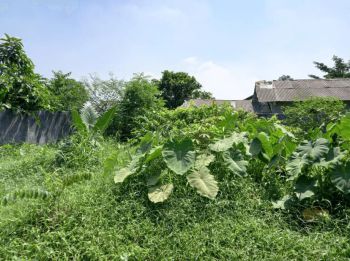 12X Cicilan Tanpa Bunga, Tanah Matang Bojongsari, Cocok Untuk Invest