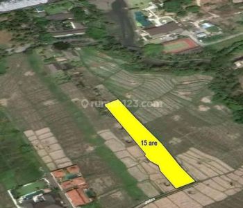 Tanah di Seseh 15 are SHM zone pariwisata