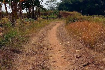 BU tanah murah Kavling BRI Harga bawah NJOP  di blok B