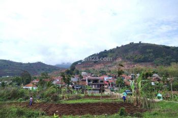 Tanah Nagreg Cicalengka 500 Meter Jalan Provinsi SHM