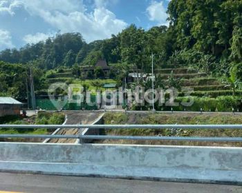 Tanah di Bedugul 1500m2 bonus Villa