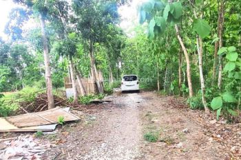 Jual Tanah Bantul, Tanah Pekarangan 10 Menit Pasar Piyungan, Bantul Timur