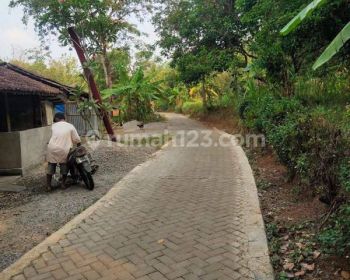 Tanah kebun 200rb an/m  lokasi mangunsari gunungpati semarang