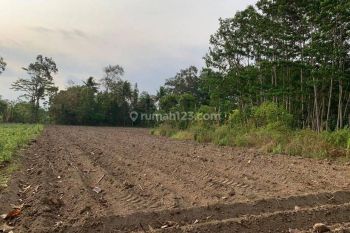 Tanah di Kalasan, Sleman SHM 100 m² Harga Termiring Dekat Tempat Wisata Dan Solo