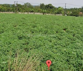 Tanah Kavling Murah Di Green Parung, Bogor