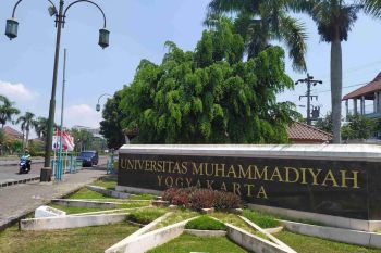 Tanah Selatan Kampus UMY, Cocok Bangun Hunian