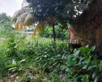 Dijual Tanah Pasar Minggu, Pejaten Timur, Jakarta Selatan