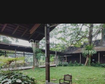 Tanah luas dengan bangunan satu lantai di area Kemang Ampera