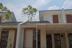 thumbnail-disewa-rumah-baru-semi-furnish-siap-huni-di-podomoro-padmagriya-2