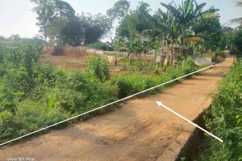 Juall Tanah Kebun Murah Luas 2200 Meter Akses Masuk Mobil Lokasi Kemang Parung