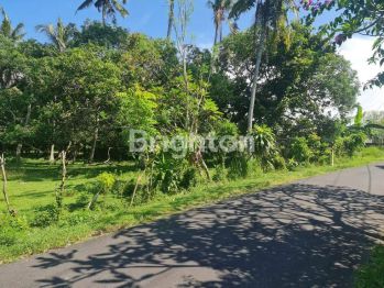 Sell Tanah: TANAH DI PANTAI SOKA