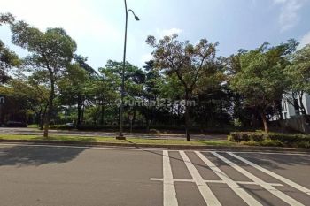 Disewakan Kavling Komersil Bsd City Dekat Sekolah Nanyang