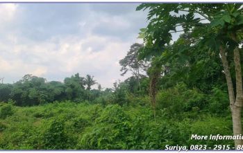 Jual Tanah Kavling Dekat RS Mitra Paramedika