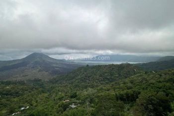 Dijual Bisnis Kafe dan Restaurant Penelokan Kintamani Bali