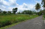 thumbnail-1-jtan-tanah-sleman-view-sawah-6-menit-ke-uii-5