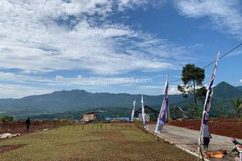 Tanah Murah puncak 2 bogor