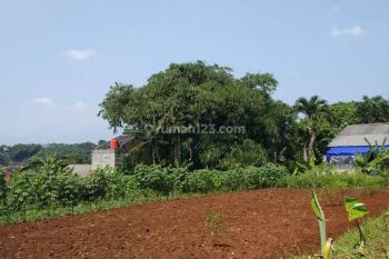 Kavling Murah Dekat Pintu Tol Citeureup. Hanya 2 Jutaan
