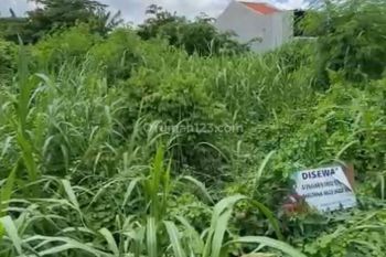 Tanah di Raya Babat Jerawat dekat Pakal Benowo