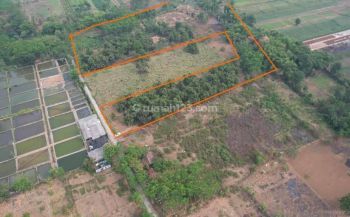 Jual Tanah Di Pasuruan Desa Kersikan Kecamatan Gondang Wetan, Dekta Jalan Raya