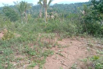 Dijual Murah Tanah, Dikampung Bedeng, Cinangka, Kab Serang