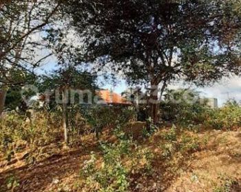Tanah Kavling Murah Jimbaran Dekat Ayana Resort