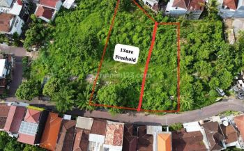 Tanah berawa canggu badung