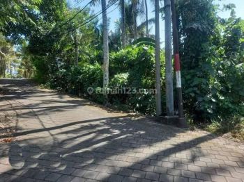 Tanah Saba Gianyar Pinggir Sungai Hrtgia55