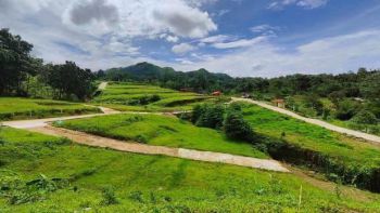 Tanah Kavling Puncak 2 Bogor Luas 100m2 Cocok Bangun Villa