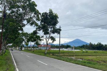 Tanah Magelang Tepi Jalan Raya Blabak, Cocok Bangun Ruko