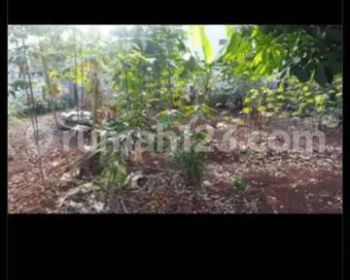 DIJUAL TANAH COCOK  BUAT  RUMAH PRIBADI  LOKASI STRATEGIS ALAMI