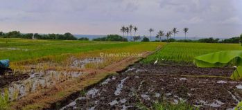 Tanah Los pantai pasut tabanan bali.