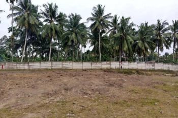 TANAH 150M2 SHM READY ASPARAGUS