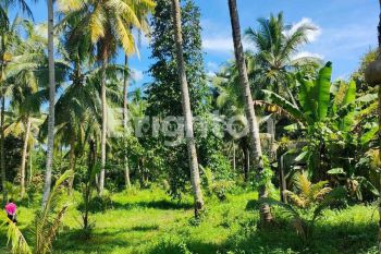 Sale Tanah: Tanah  Pandeglang