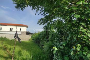 Tanah Sewa Cocok Buat Gudang Area Denpasar Barat