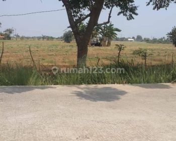 Dijual Tanah Di Muara Gembong Bekasi, Cocok untuk Perumahan