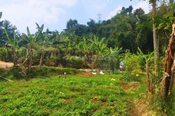 Tanah Strategis Dataran Tinggi Kawasan Sejuk di Sersan Bajuri