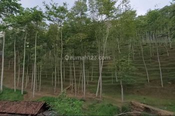 tanah pacet mojokerto dkt trawas tretes mojosari cocok villa