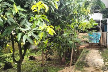 Rumah Luas & Asri Di Purwakarta, Strategis Diperbatasan 2 Komplek