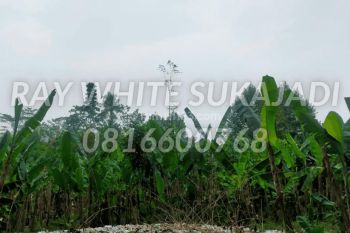 Sale Tanah: Dijual Tanah Cipatat